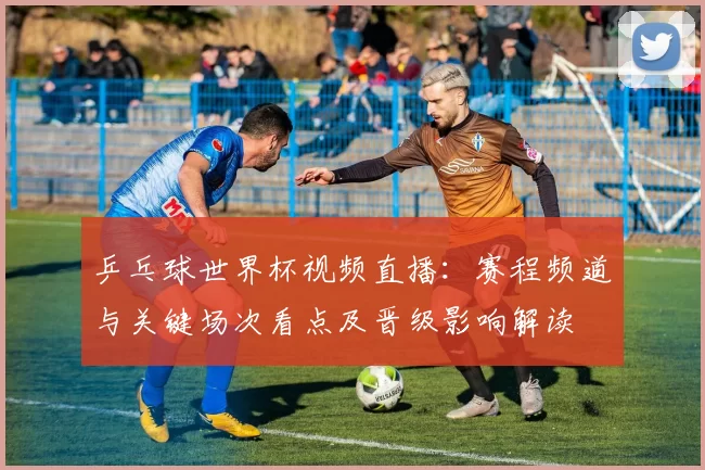 乒乓球世界杯视频直播：赛程频道与关键场次看点及晋级影响解读
