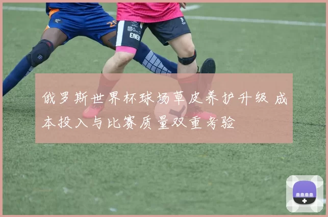 俄罗斯世界杯球场草皮养护升级 成本投入与比赛质量双重考验