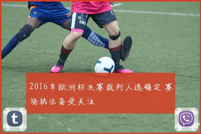 2016年欧洲杯决赛裁判人选确定 赛场执法备受关注