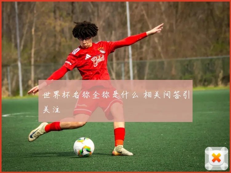 世界杯名称全称是什么 相关问答引关注