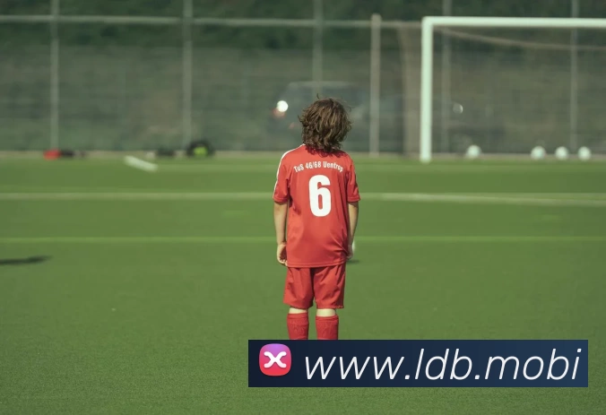 人人体育 - 无插件NBA直播|足球直播|人人体育官方球赛直播平台生态图