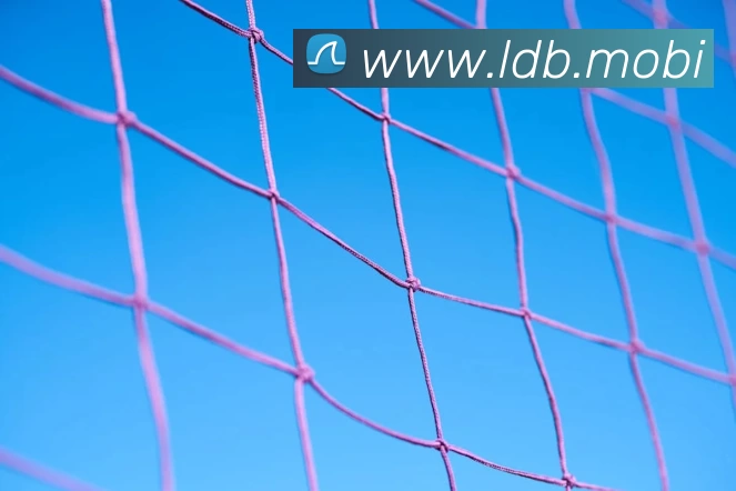 人人体育 - 无插件NBA直播|足球直播|人人体育官方球赛直播全站App